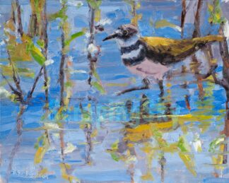 Killdeer Wading 8x10 inches oil on panel unframed