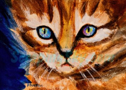 acrylic painting image of kitten by peter dustrud scrapingsky.com