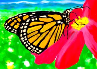 monarch butterfly digital art by peter dustrud scrapingsky.com