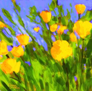 "Poppies Spring"