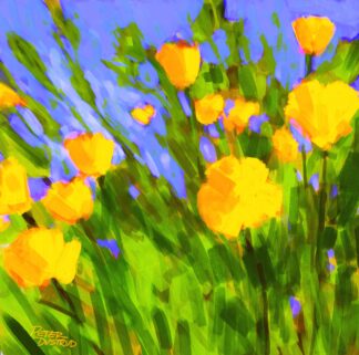 "Poppies Spring"