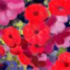 preview: "Petunias Hanging" digital painting by peter dustrud