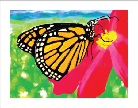 FineArtPrint: "Monarch Butterfly" 9x12 inch image size on 11x14 sheet 1" borders