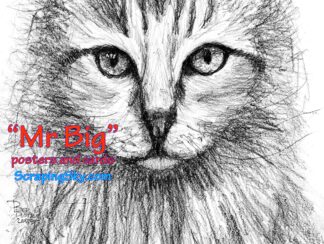 image of cat: mr big by peter dustrud scrapingsky.com