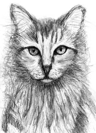 Downloadable Printable Greeting Cards: "Mr Big" for 5x7 size vertical