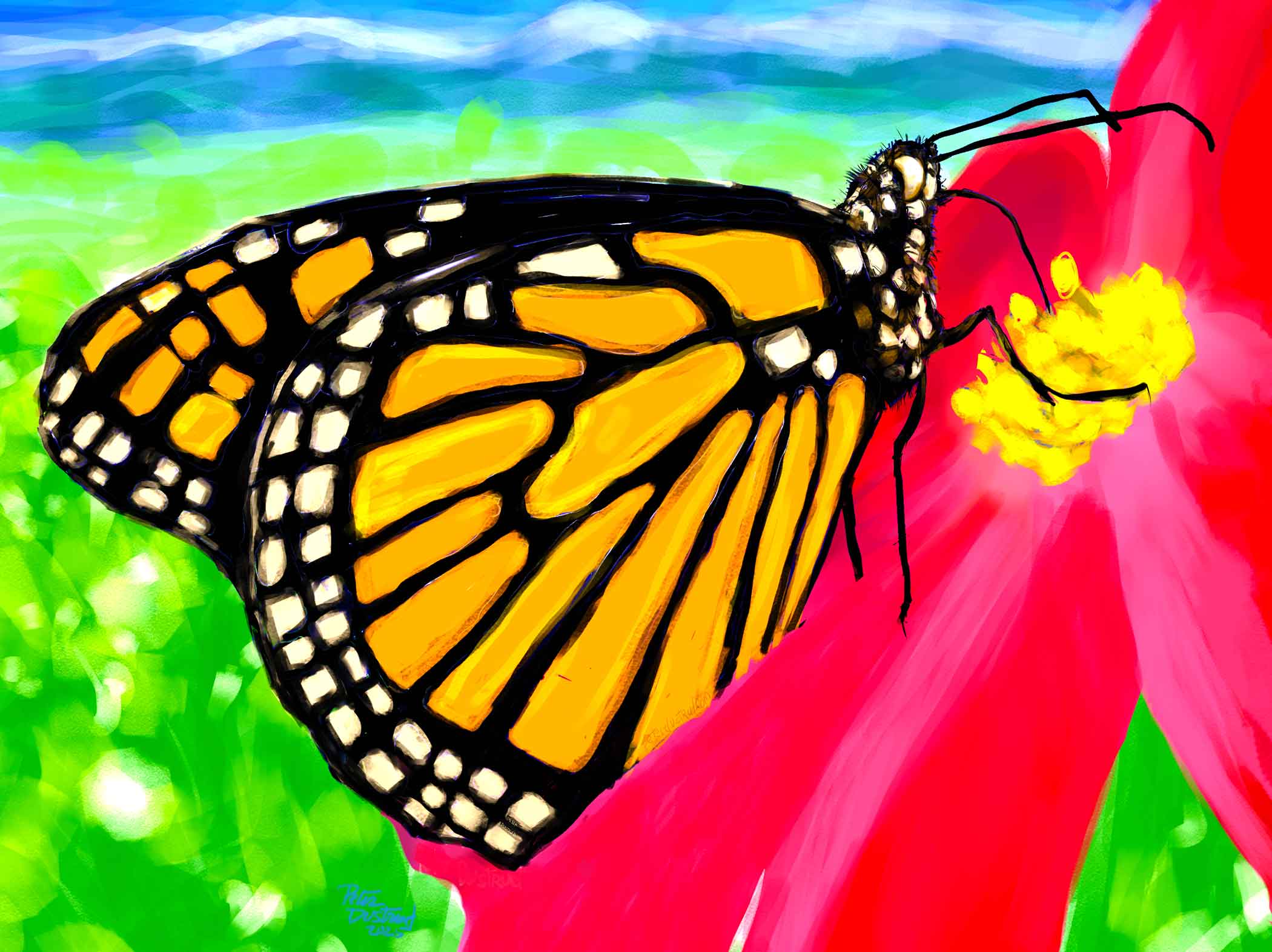 image: Monarch butterfly digital drawing peter dustrud scapingsky.com