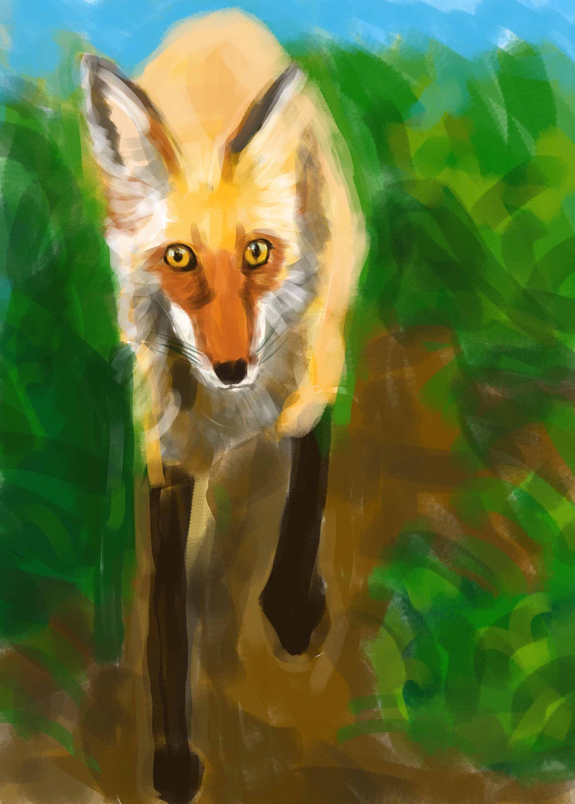 Red Fox on the Prowl - digital original