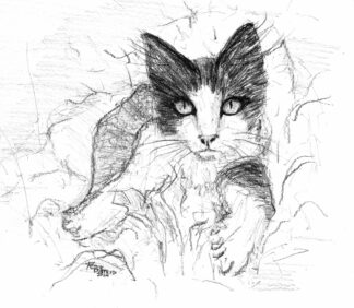 Tuxie in Spring" pencil