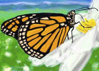 Monarch Butrterfly in High Country - digital painting by Peter Dustrud scrapingsky.com